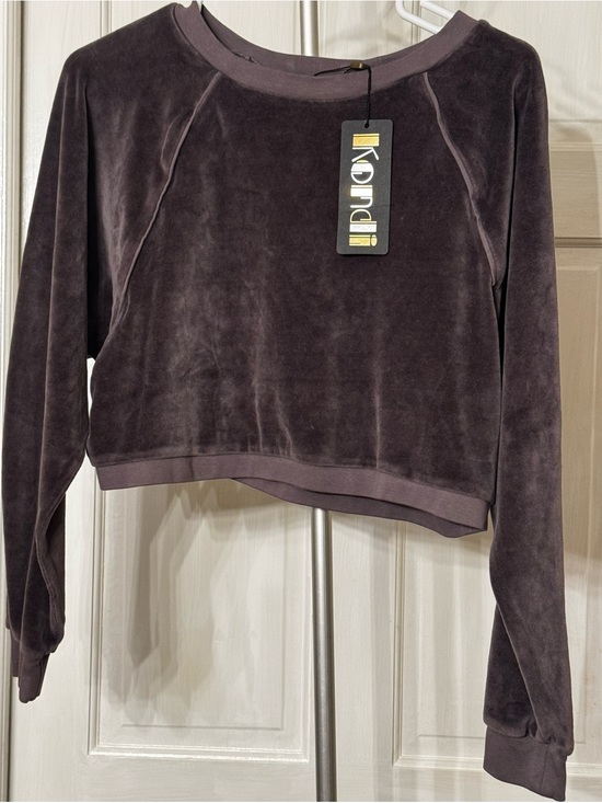 Suzi Kondi Tops - Suzi Kondi Velvet Cropped Sweatshirt in Plum Medium